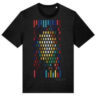 BAPTISTERY WINDOW T-SHIRT